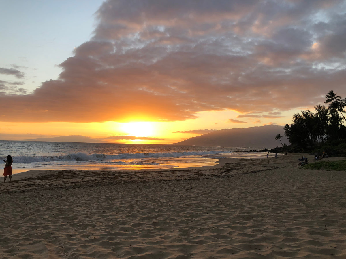 Sunset Sanctuary
