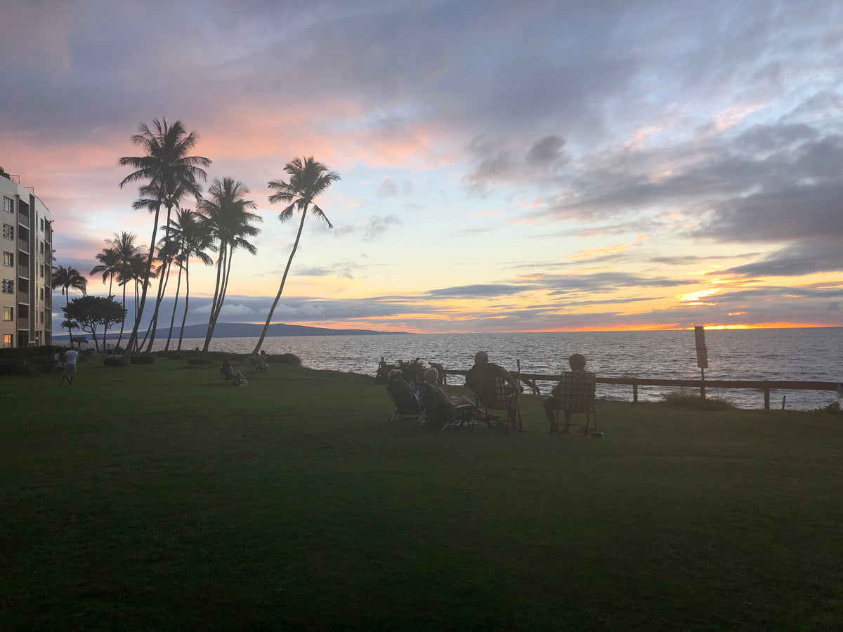 Sunset Friends