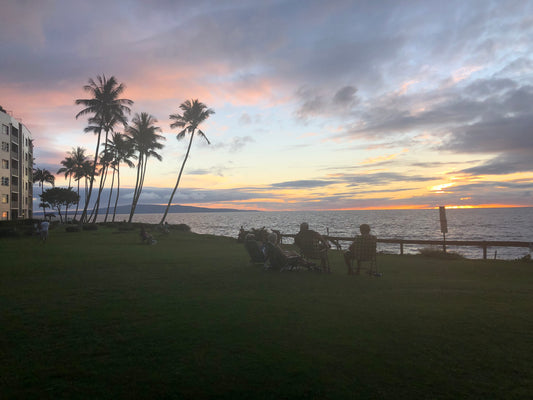 Sunset Friends